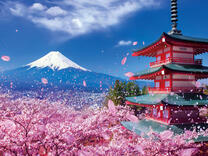 Без бренда «2KSB-7277» в Ростове-на-Дону