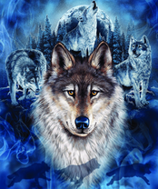 Без бренда «2KXSB-0687» в Ростове-на-Дону