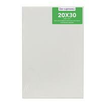 Без бренда «Коробка 80 шт.: Холст Две картинки на подрамнике 20X30» в Ростове-на-Дону