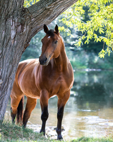 Без бренда «BOX20-2KMB-4594» в Ростове-на-Дону