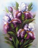 Красивые цветы ириса