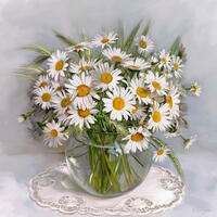 Без бренда «Букет свежих ромашек» в Ростове-на-Дону в интернет-магазине  Без бренда «Букет свежих ромашек» в Ростове-на-Дону