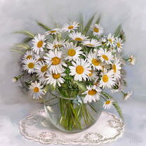 Без бренда «Букет свежих ромашек» в Ростове-на-Дону