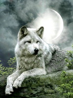 Без бренда «Коробка 25 шт. картин по номерам BOX25-GX21058» в Ростове-на-Дону