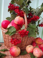 Без бренда «Коробка 25 шт. картин по номерам BOX25-GX5174» в Ростове-на-Дону