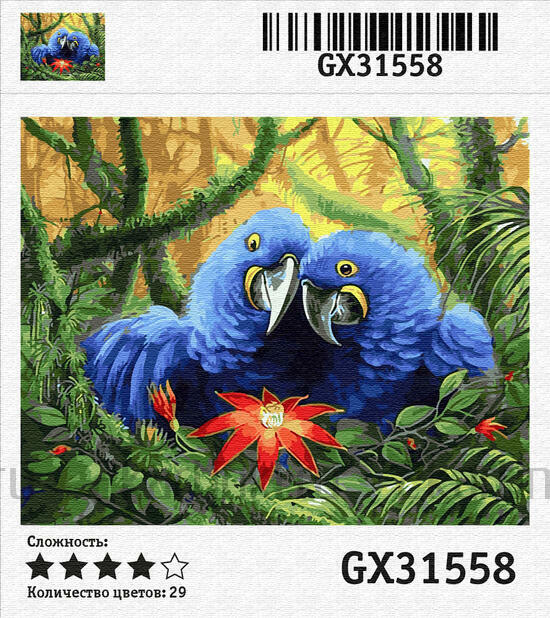 Картина по номерам 40x50 Влюбленные попугаи любуются цветком