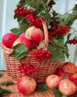 Без бренда «Плетёная корзина с калиной и яблоками» в Ростове-на-Дону