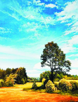 Без бренда «Осенний пейзаж с голубым небом» в Ростове-на-Дону в интернет-магазине  Без бренда «Осенний пейзаж с голубым небом» в Ростове-на-Дону