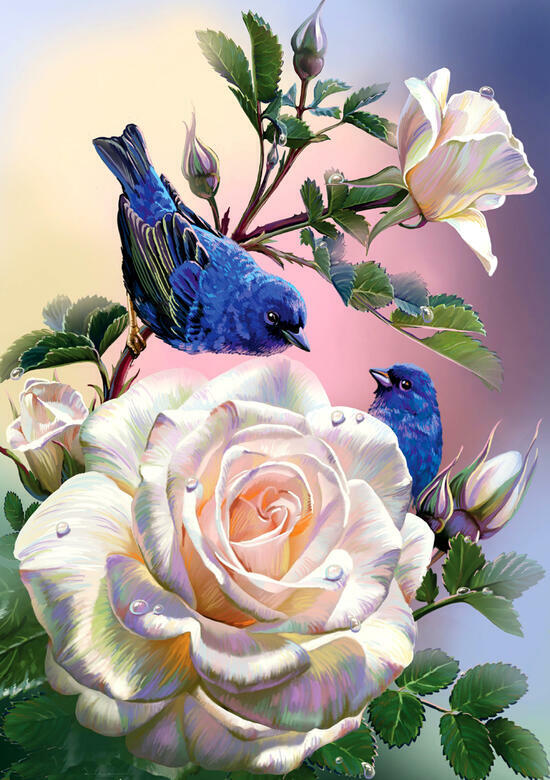 Алмазная мозаика 30x40 Пара синих птичек на цветущей белой розе