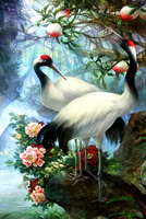 Без бренда «Коробка 25 шт. картин по номерам BOX25-GX29399» в Ростове-на-Дону