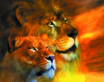 Портрет большого льва и львицы