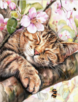 Без бренда «Волосатый котик спит на ветви яблони» в Ростове-на-Дону в интернет-магазине  Без бренда «Волосатый котик спит на ветви яблони» в Ростове-на-Дону