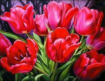 Яркие красные тюльпаны